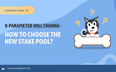 How to Choose The New Stake Pool