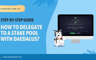 How to Delegate to Stake Pool With Daedalus