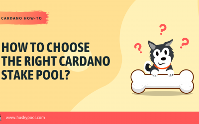 How to Choose The Right Cardano Stake Pool?